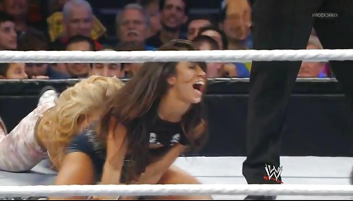 25P AJ Lee Bra Slip