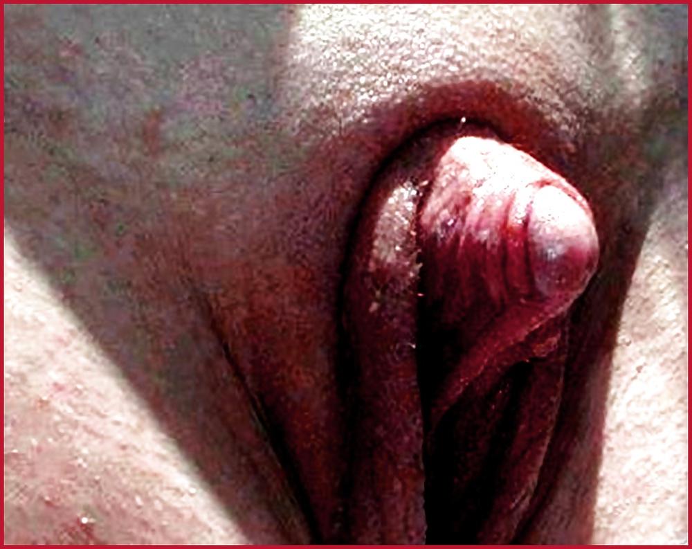 20P Big Pussy Brazil IV