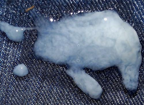 25P Sperm 4