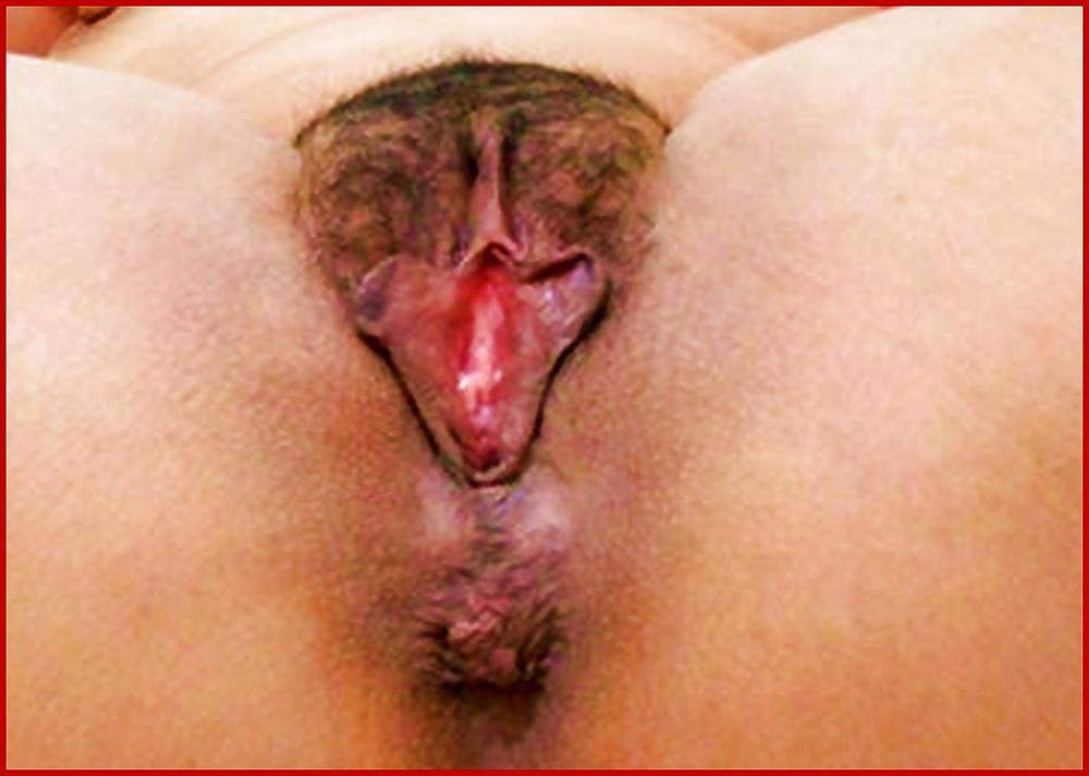 25P PUSSY & BIG PUSSY 