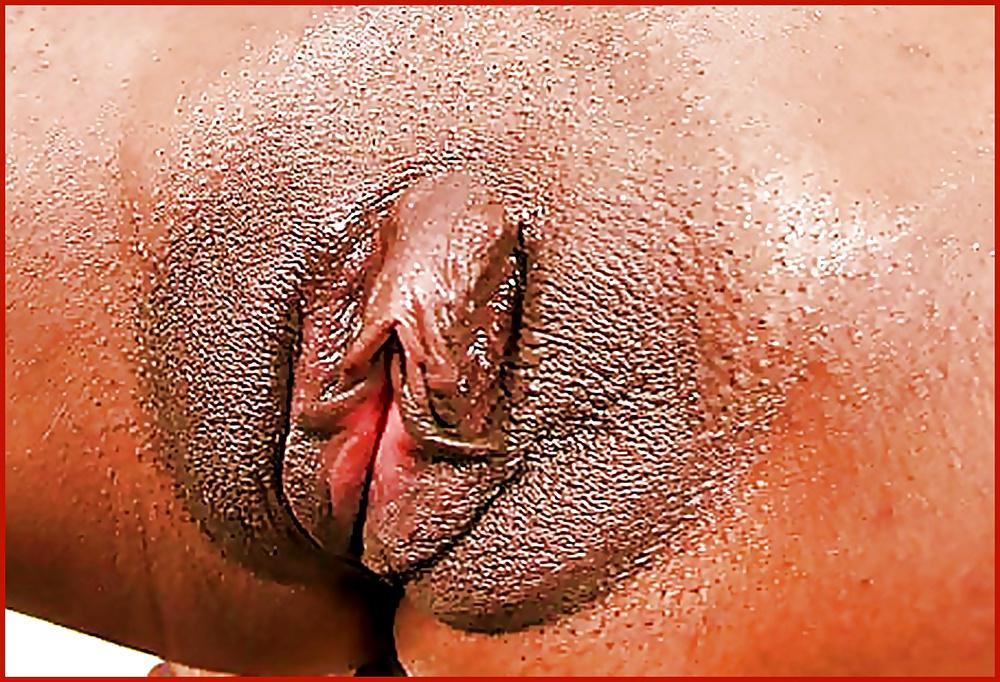 25P PUSSY & BIG PUSSY 