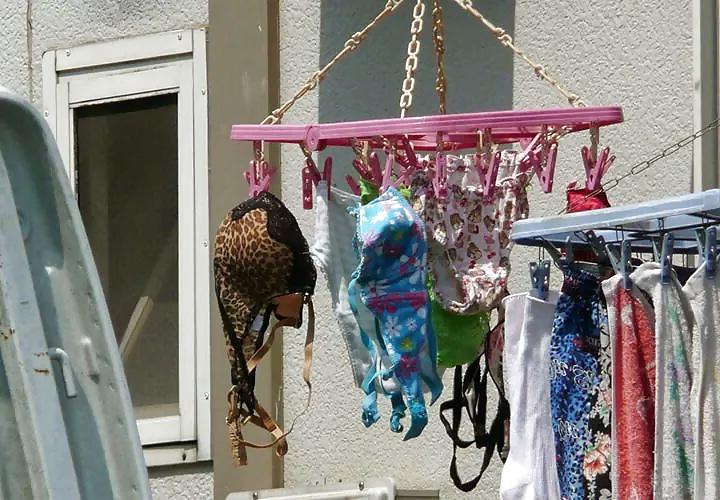 17P Bra lovers