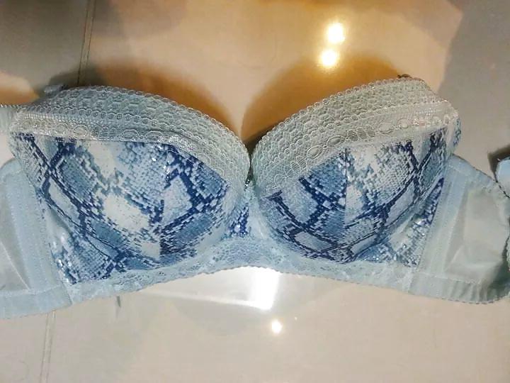 17P Bra lovers