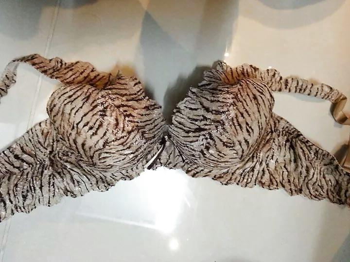 17P Bra lovers