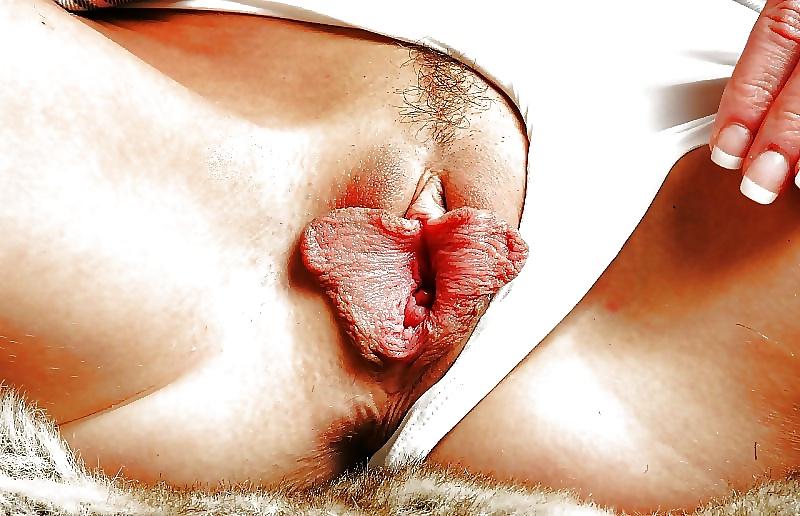 25P Big Pussy Lips