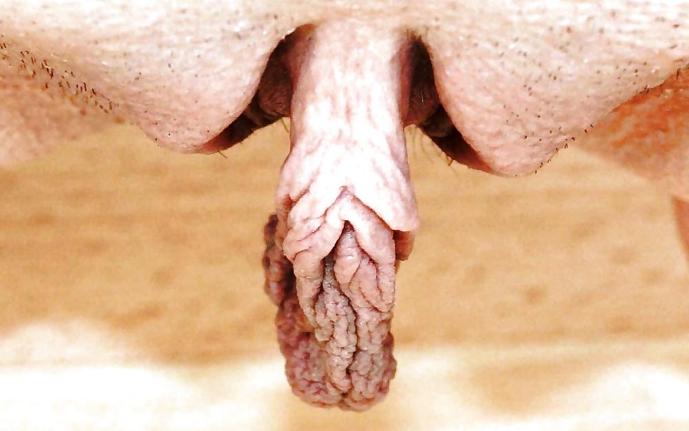 25P Big Pussy Lips