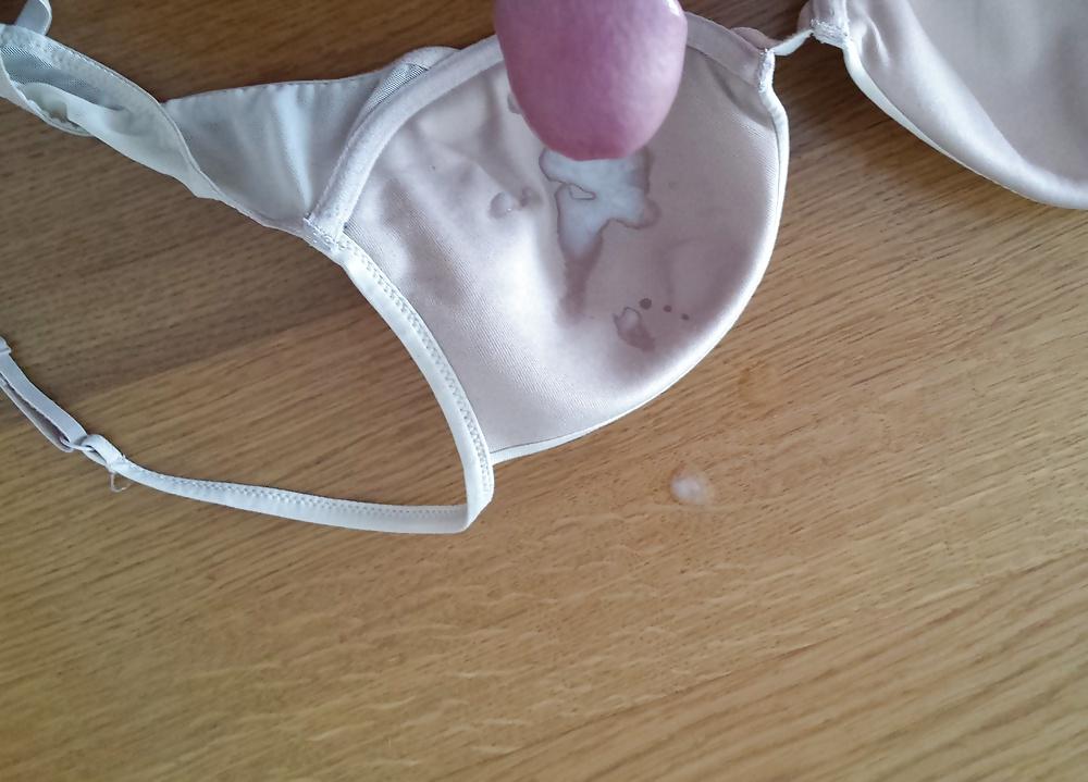 8P BH meiner Frau, Sperma, cum in wifes bra, wichsen, besamen
