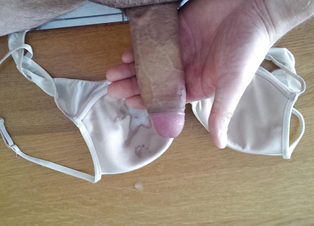 8P BH meiner Frau, Sperma, cum in wifes bra, wichsen, besamen