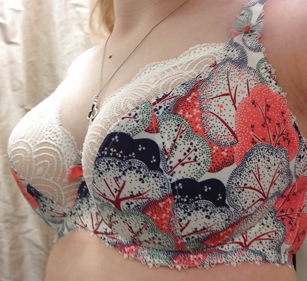 25P For the Bra Lover's - 5