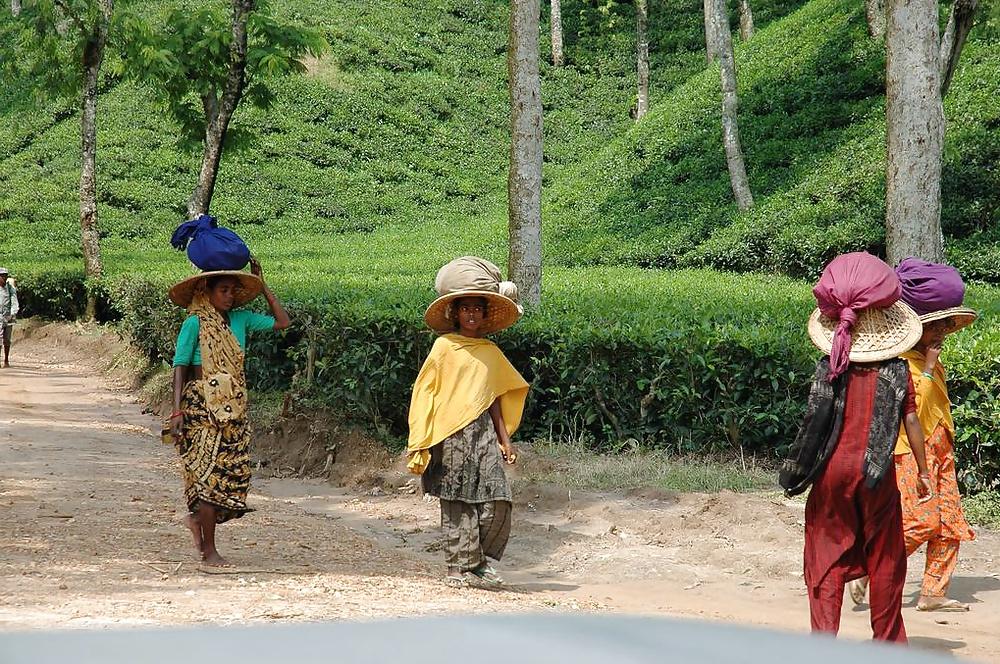 13P Cum on Bangladeshi women 
