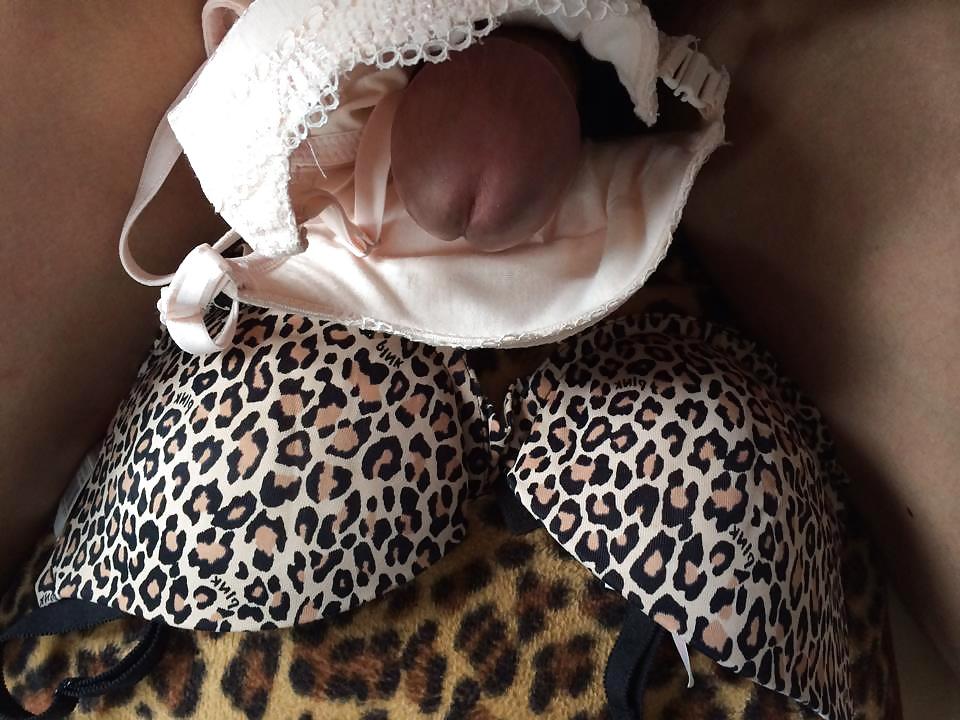 17P Im lucky to cum on my sis chinese fren bra