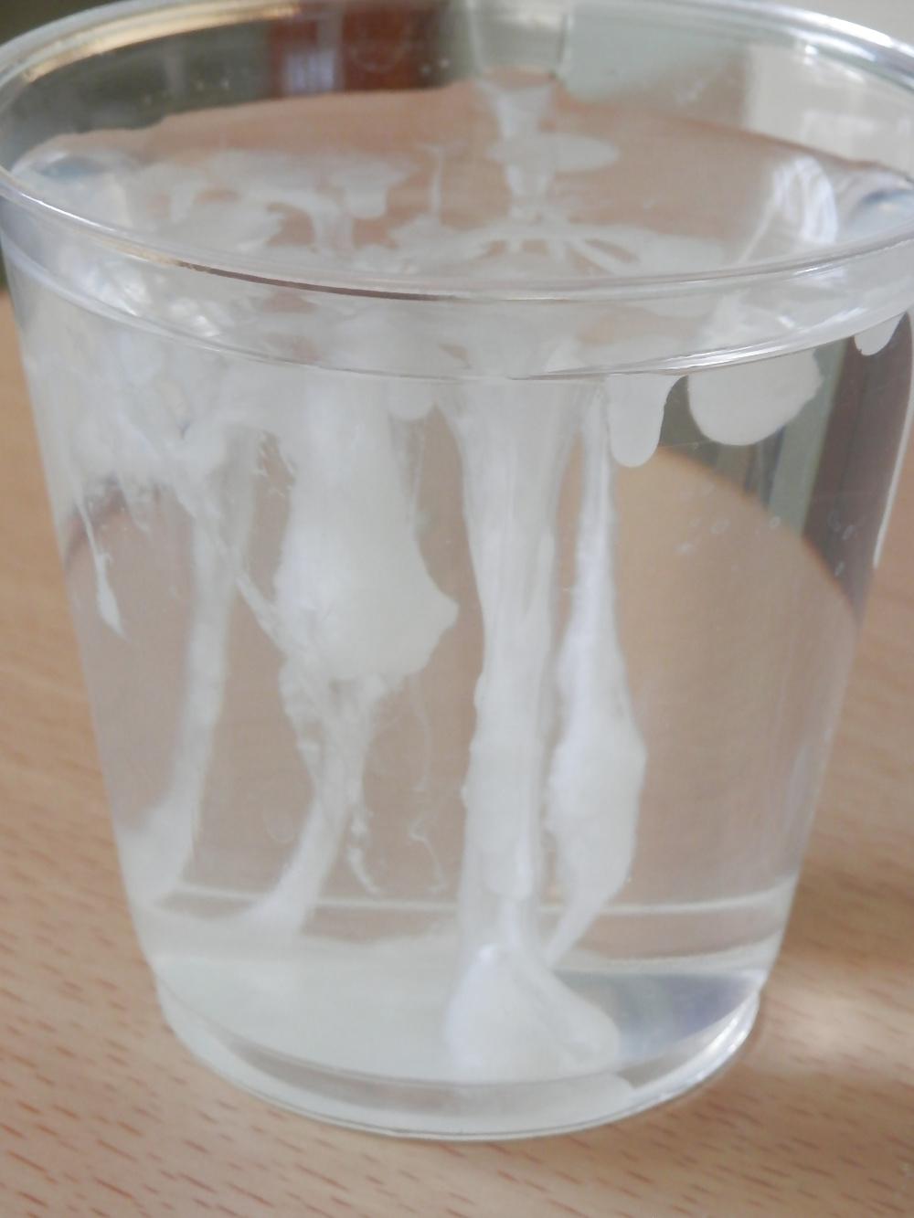 7P Cum on a glass of water
