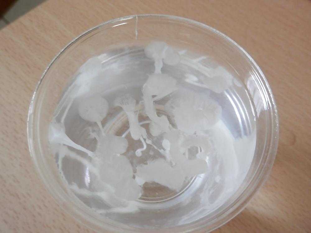 7P Cum on a glass of water