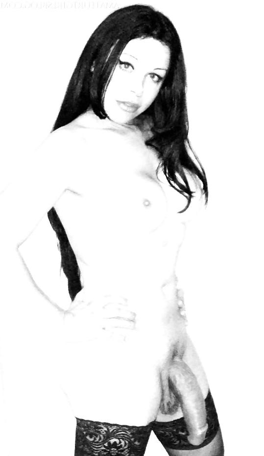 12P Mostly Amateur Tgirl Collection