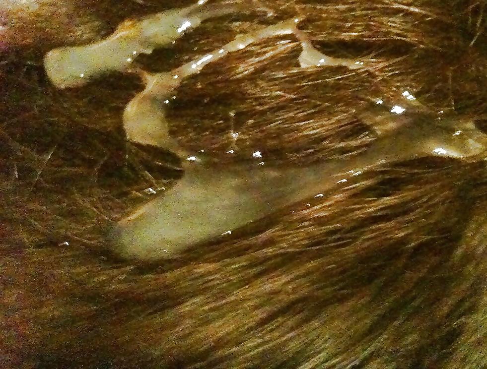 20P Cum on hair