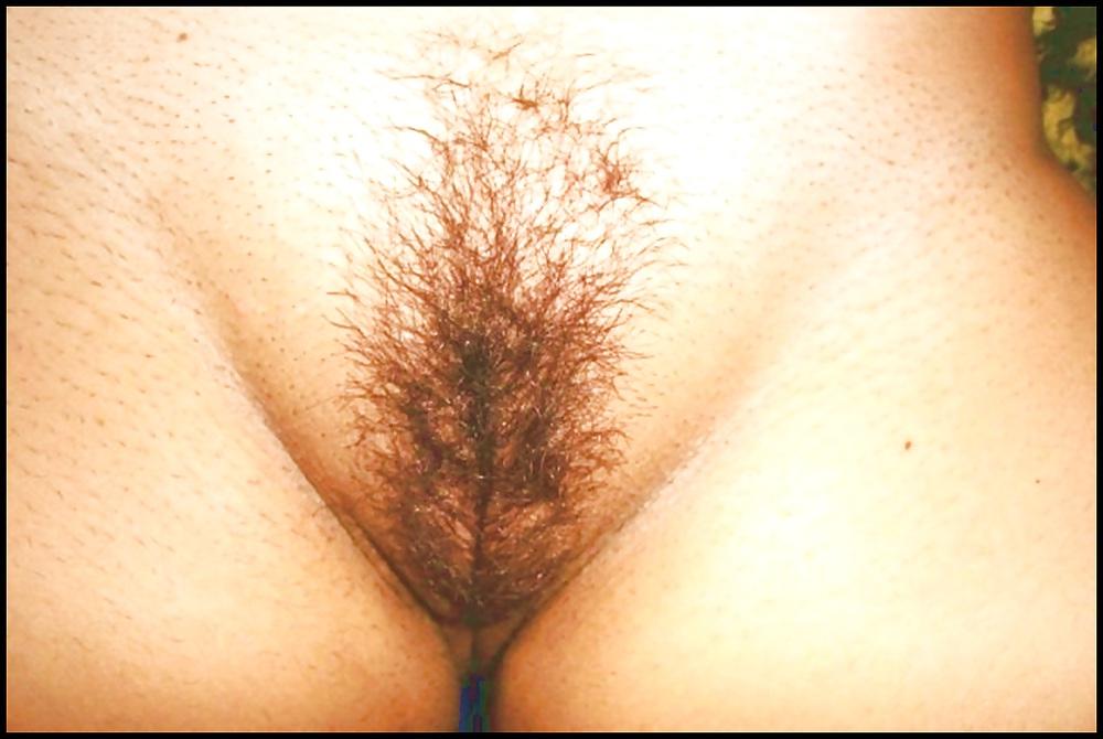 25P Women's big pussy of Brazil