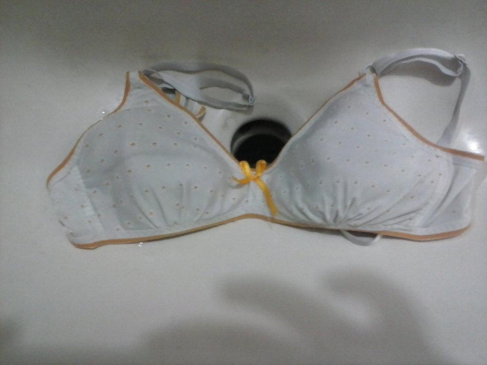 8P Hirushi Bra Collection