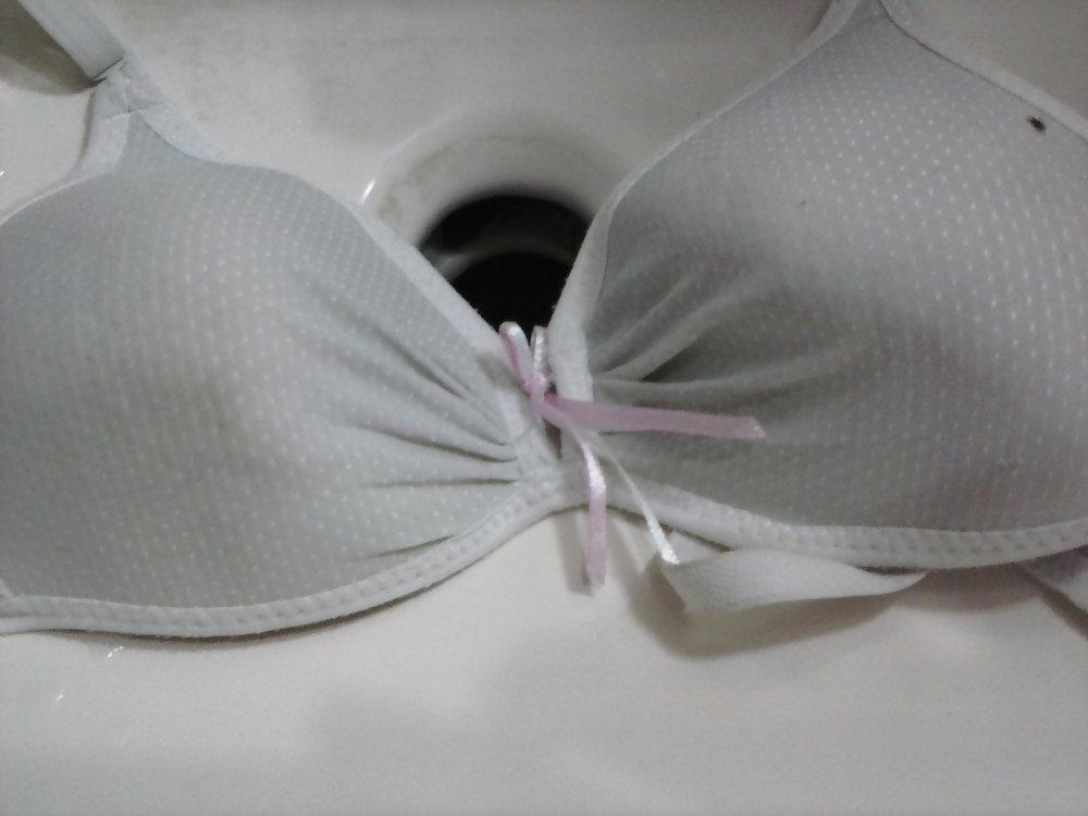 8P Hirushi Bra Collection