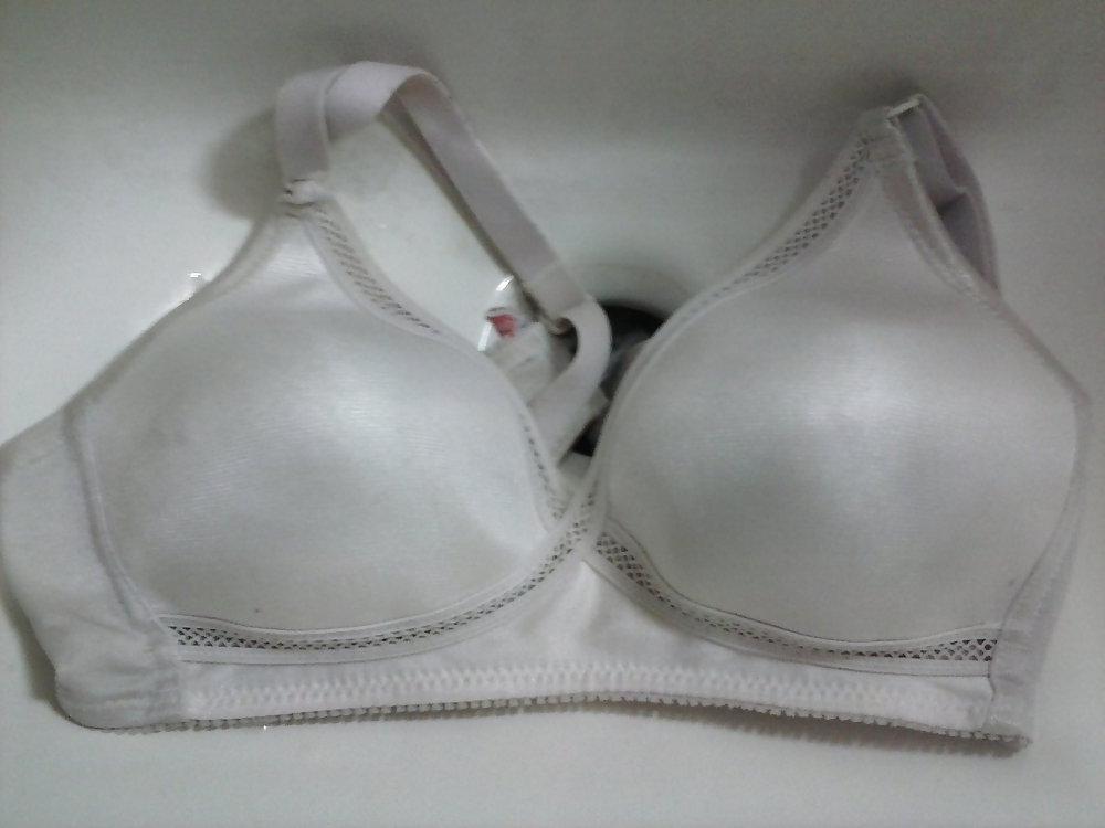 8P Hirushi Bra Collection