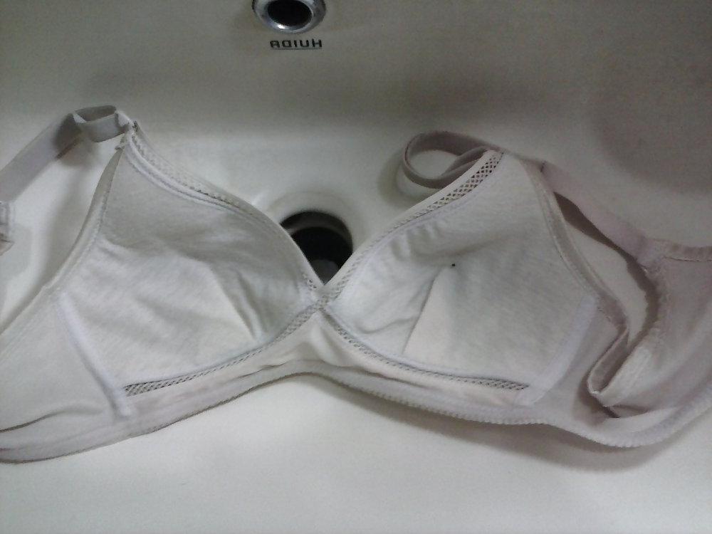 8P Hirushi Bra Collection