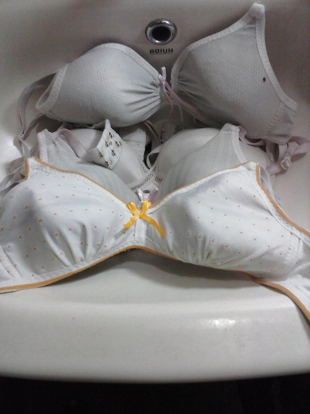 8P Hirushi Bra Collection