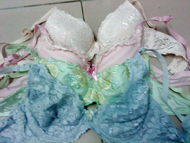 25P BRA
