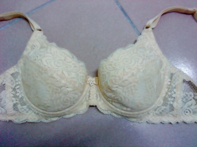 25P BRA