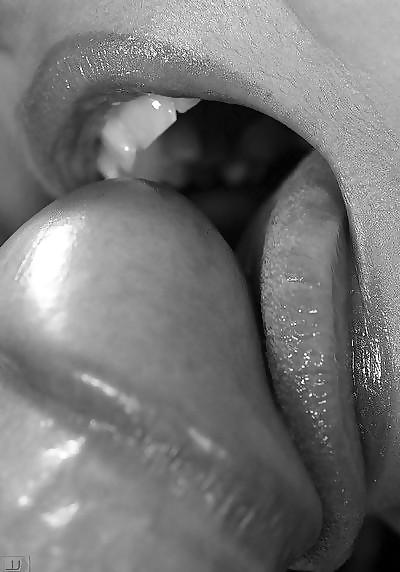 25P Blowjobs & Cumshots colletion