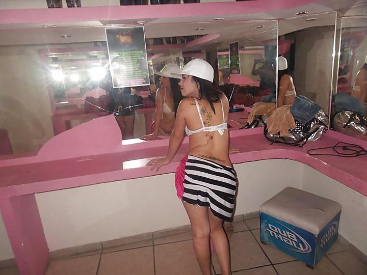 11P Teibolera mexicana