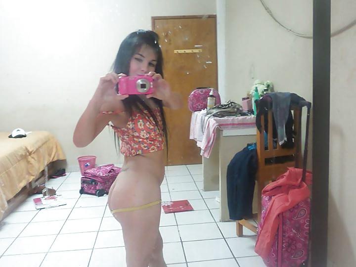 11P Teibolera mexicana