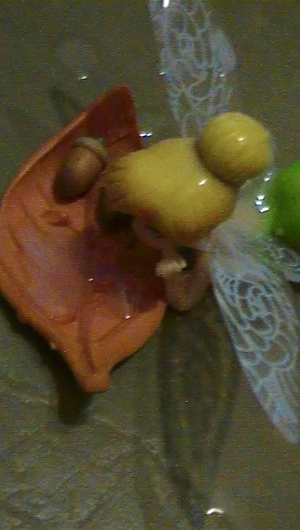18P Cum on Tinkerbell