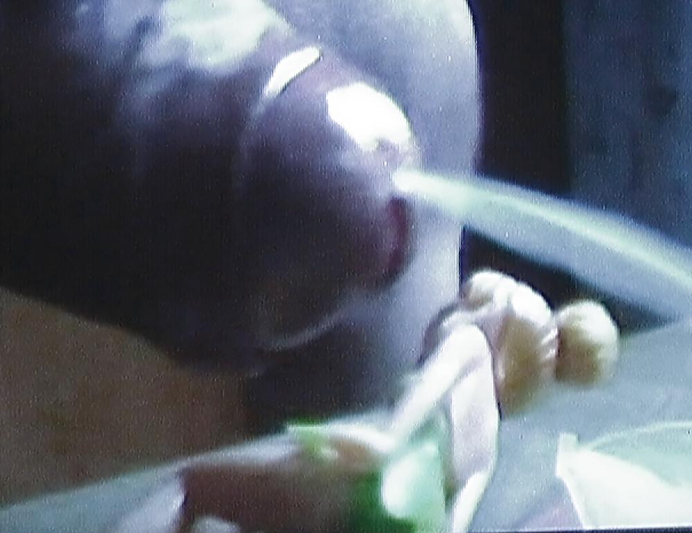 19P Cum on Tinkerbell 3