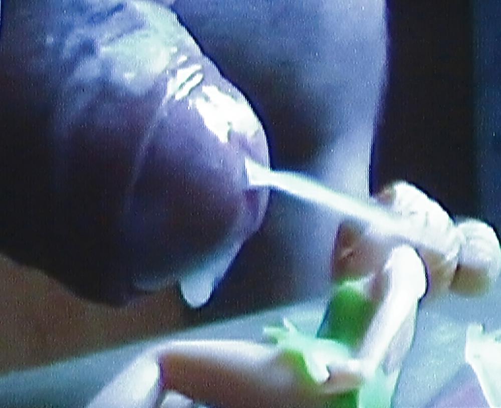 19P Cum on Tinkerbell 3