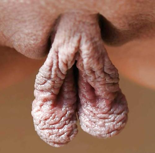 25P BIG PUSSY LIPS 2