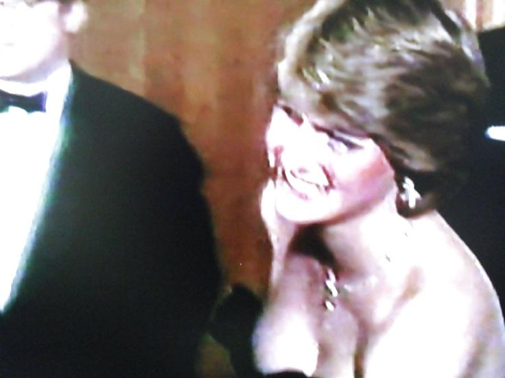 19P Princess Diana 4