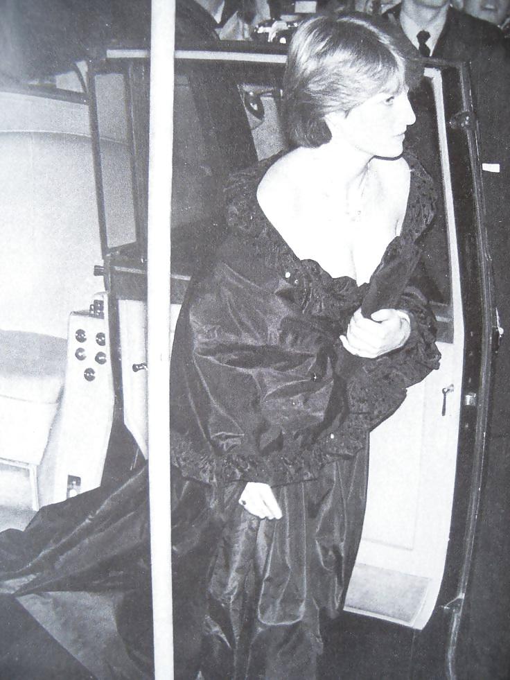 19P Princess Diana 4