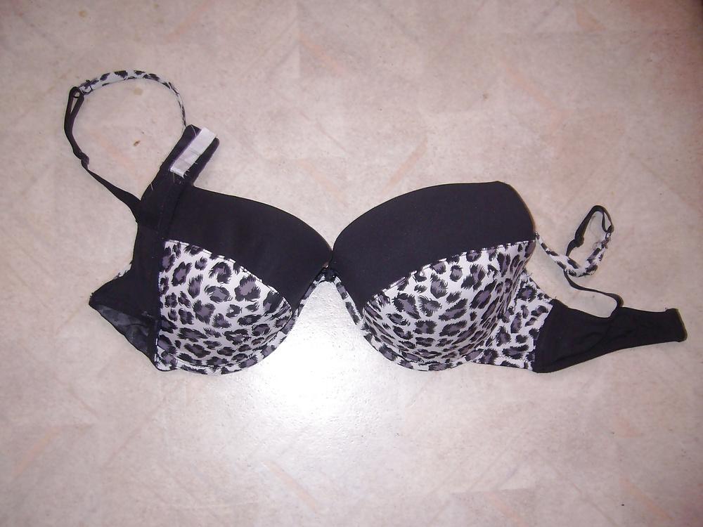 10P MILFY's Bra collections