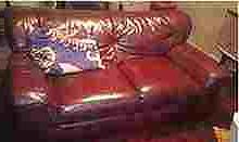 25P MY GUESTS ROOM.