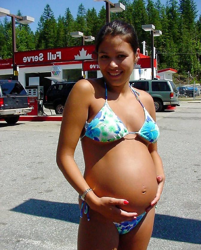 24P Mix of pregnant bitches