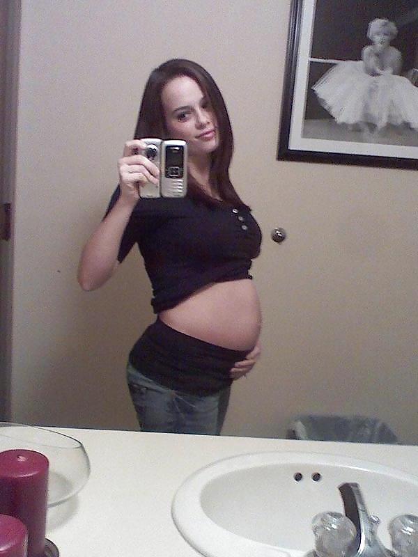 24P Mix of pregnant bitches