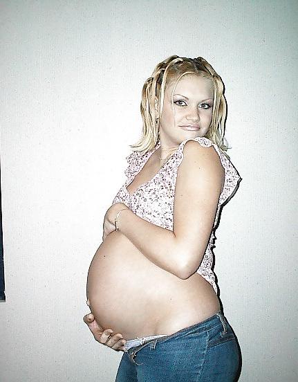 24P Mix of pregnant bitches