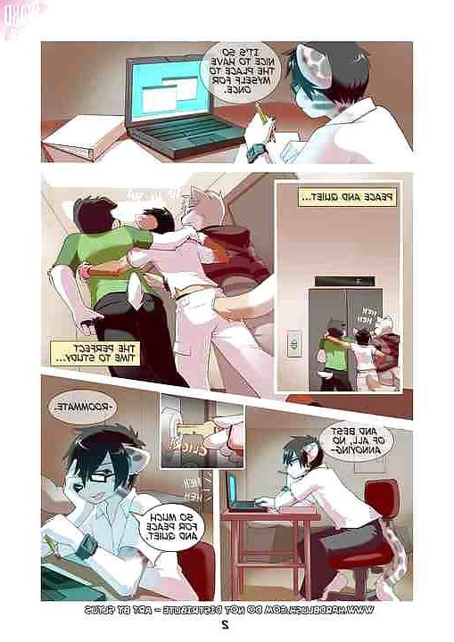19P YIFF COMIC........ROOM MATE