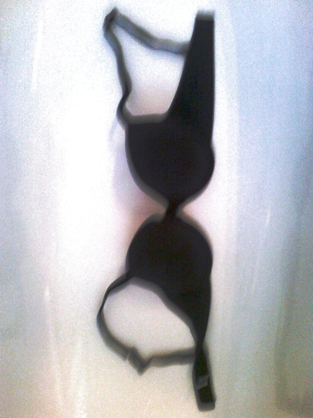 11P My Bra