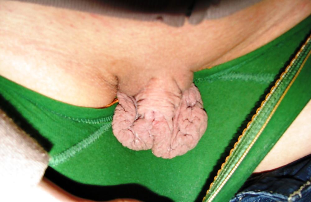 17P Big pussy