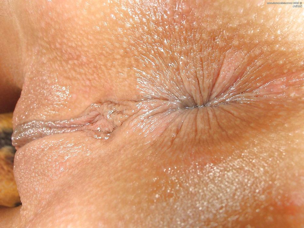 23P Assholes that I want in my face 1