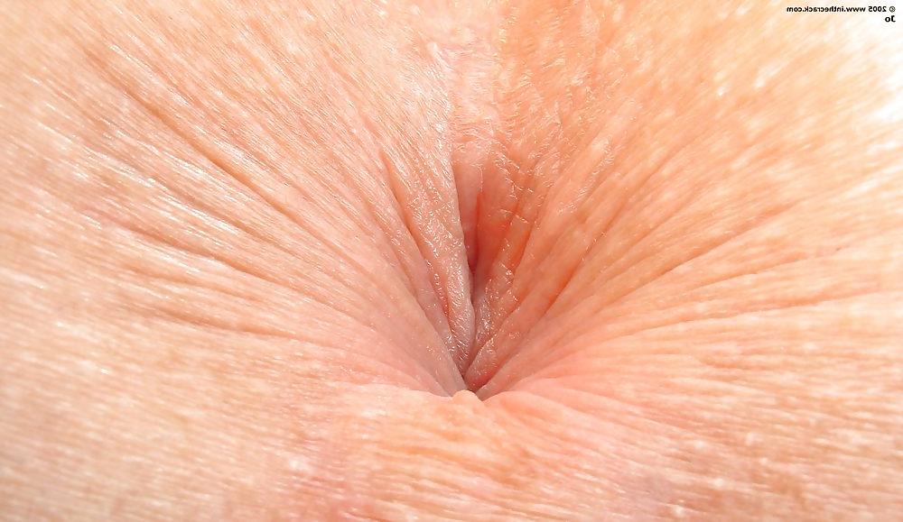 23P Assholes that I want in my face 1