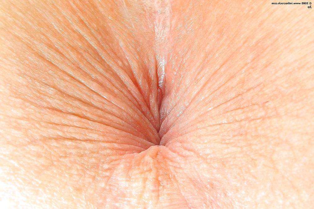 23P Assholes that I want in my face 1