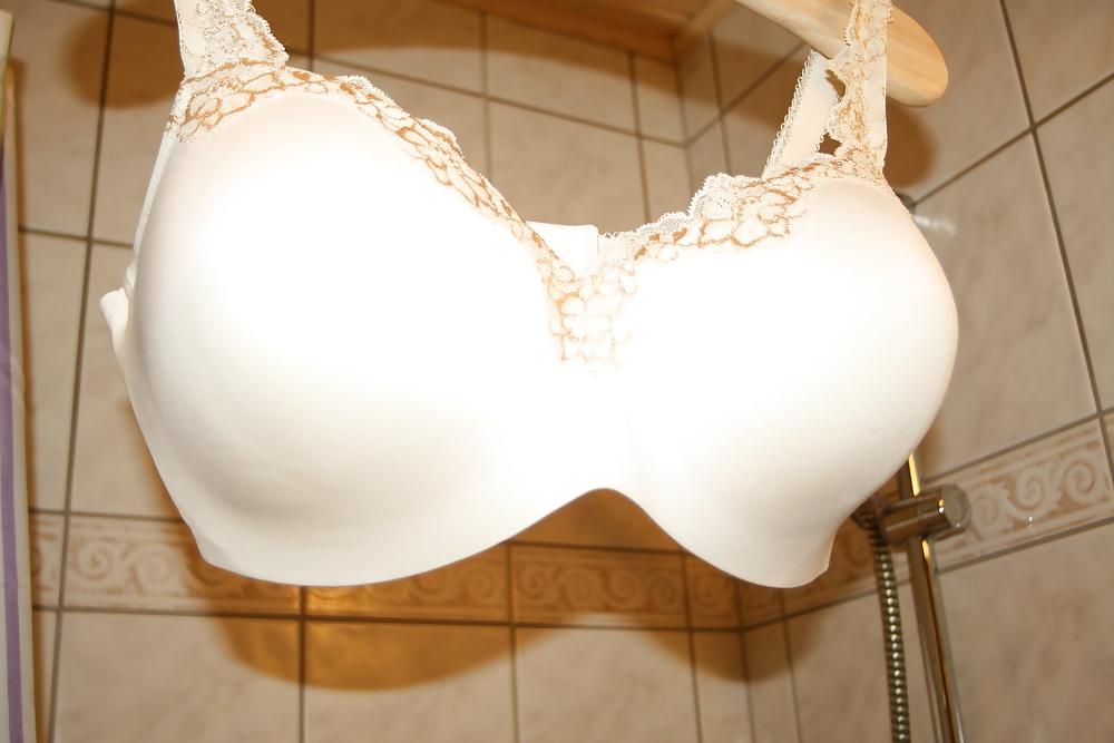 7P H cup bra