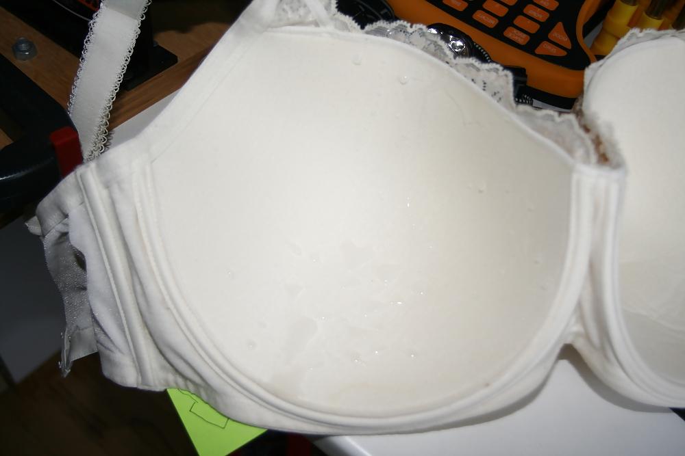 7P H cup bra