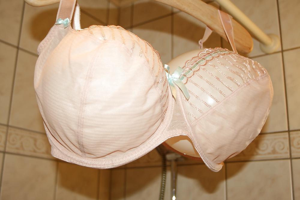 13P H cup bra